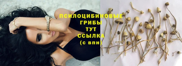 дистиллят марихуана Нефтекумск
