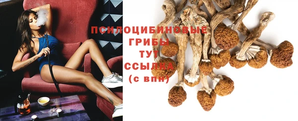 мдпв Апатиты